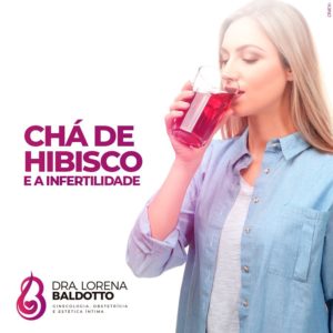 Cha de hibisco - Cha de hibisco causa Infertilidade - Infertilidade com Cha de hibisco - Cha de hibisco faz mal - Cha de hibisco faz bem - alteração hormonal com Cha de hibisco 